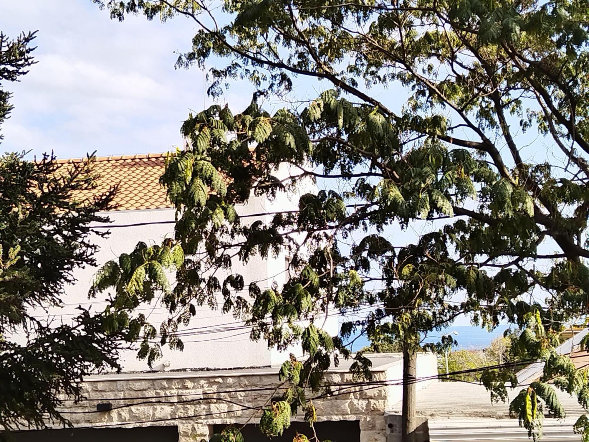 Guest House Yanita Βάρνα Δωμάτιο φωτογραφία